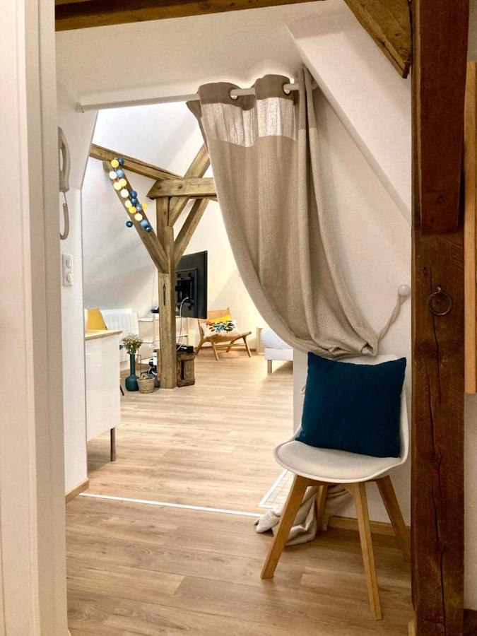 Le Loft Apartment Colmar Exterior foto