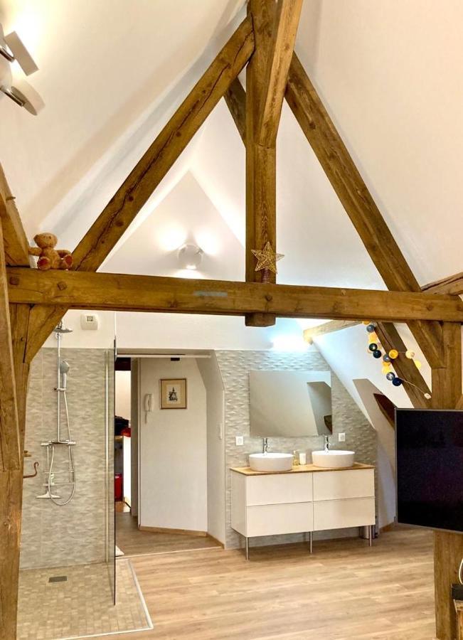 Le Loft Apartment Colmar Exterior foto