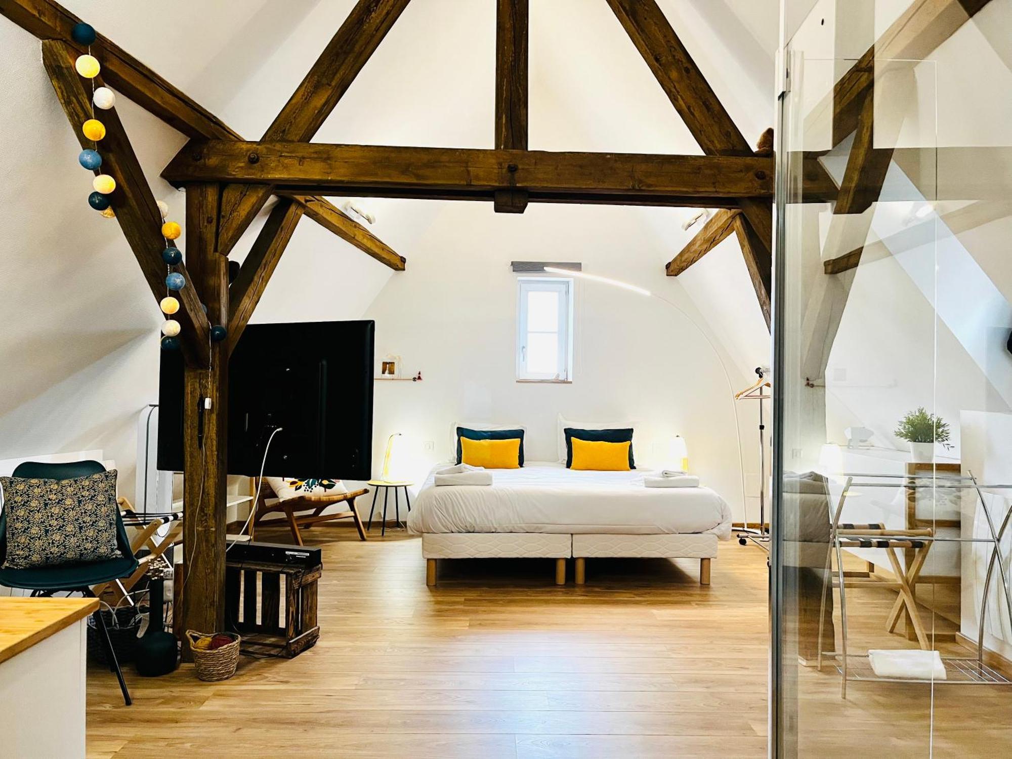 Le Loft Apartment Colmar Exterior foto