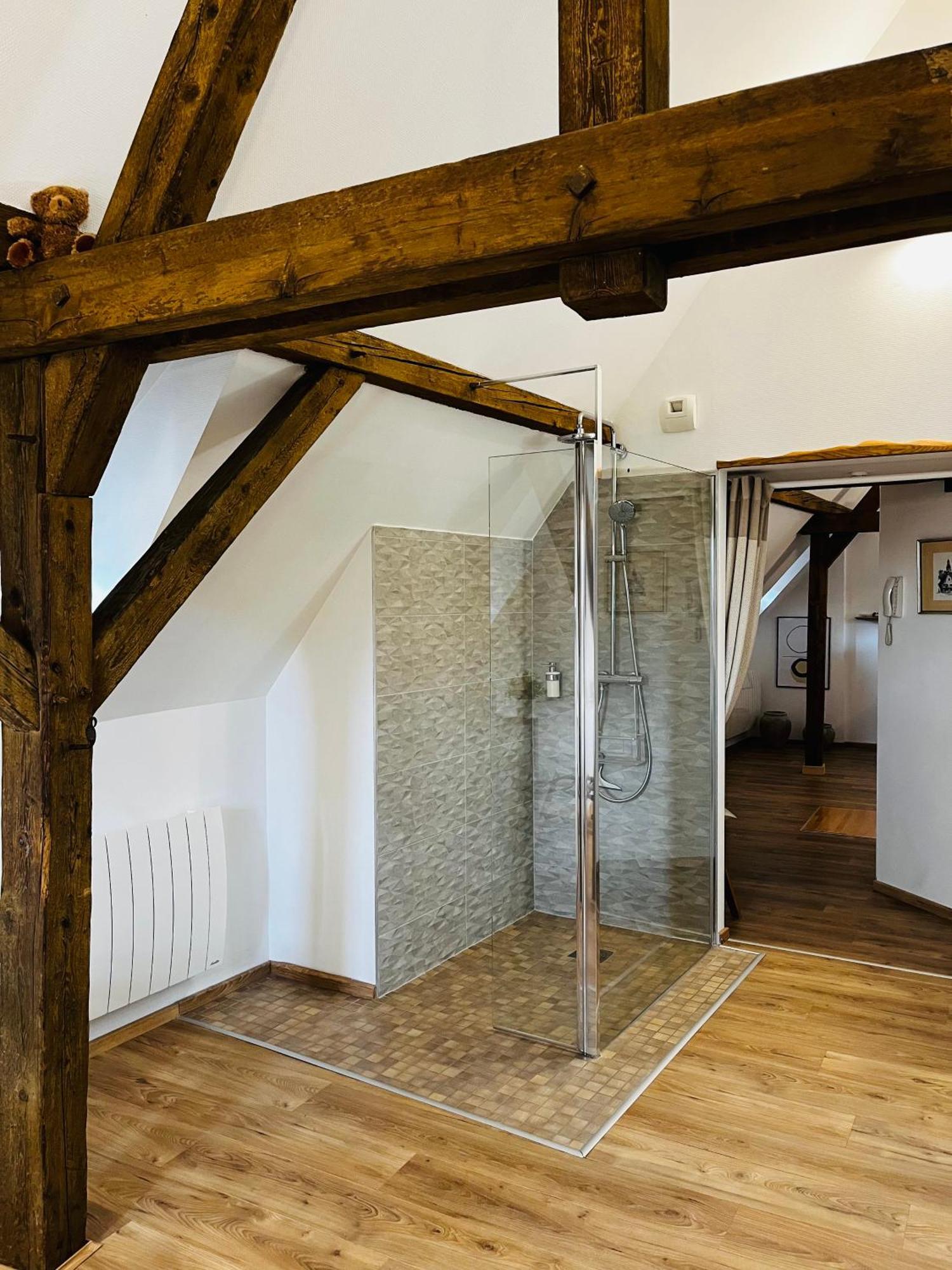 Le Loft Apartment Colmar Exterior foto